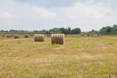 Similar image 721285