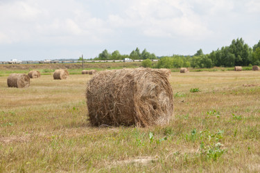 Similar image 721286