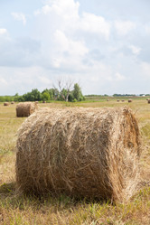 Similar image 721289