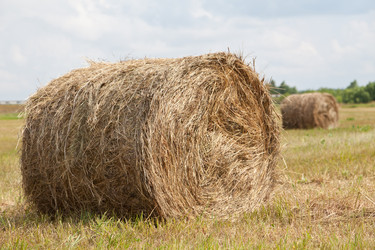 Similar image 721290