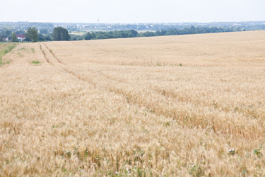 Similar image 721295