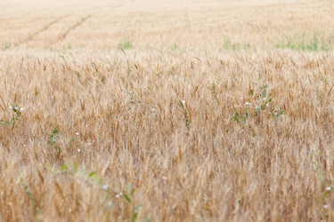 Similar image 721297