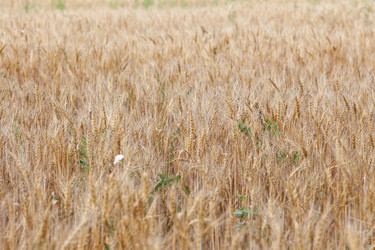 Similar image 721298