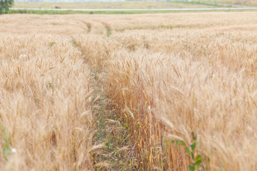 Similar image 721299