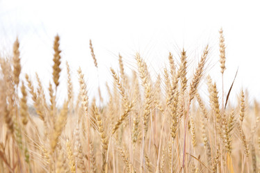 Similar image 721308