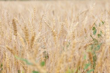 Similar image 721309