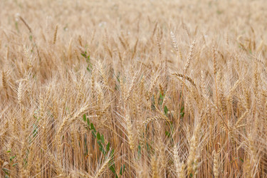 Similar image 721310