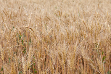 Similar image 721312