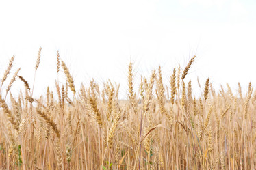 Similar image 721313