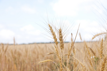 Similar image 721315