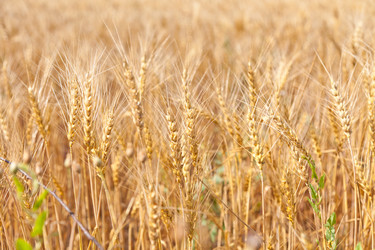 Similar image 721316