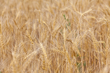 Similar image 721317