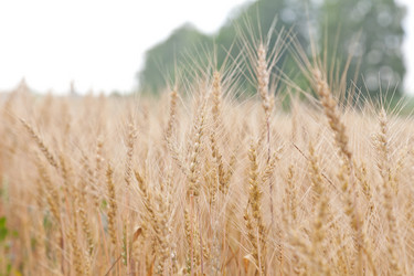 Similar image 721319