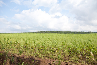 Similar image 721352