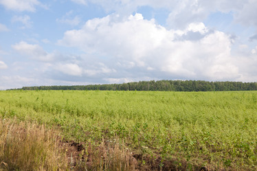 Similar image 721353