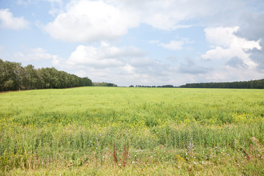 Similar image 721354