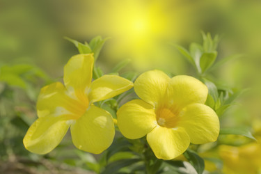 Similar image 721396