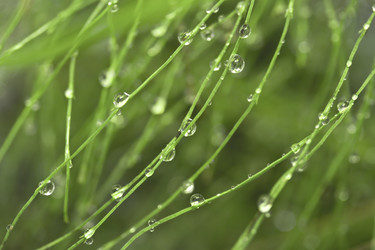 Similar image 721397