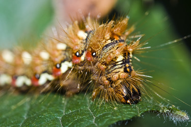 Similar image 721405