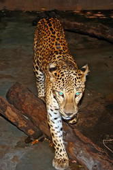 Similar image 721411