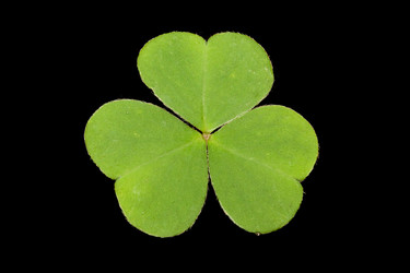 Similar image 721416