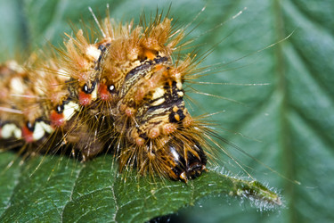 Similar image 721434