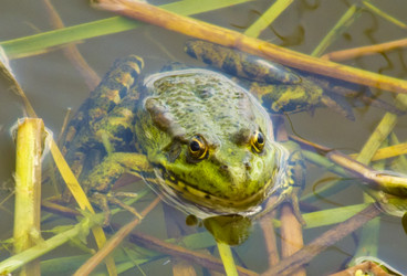 Similar image 721437