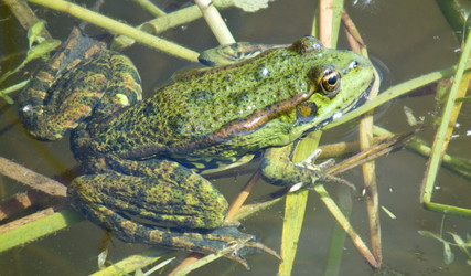 Similar image 721440