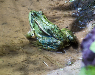 Similar image 721442