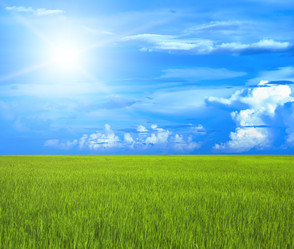 Similar image 721498