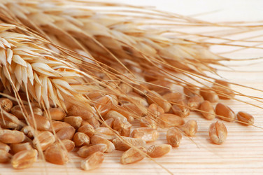 Similar image 721699