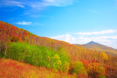 Similar image 721806