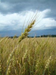 Similar image 721825