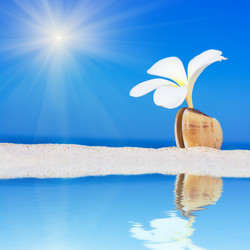 Similar image 721852