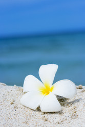 Similar image 721853