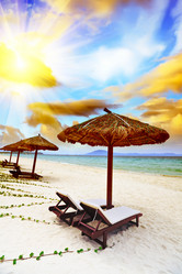 Similar image 721861