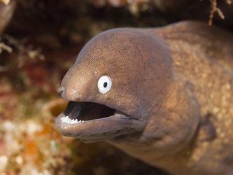 Similar image 721905