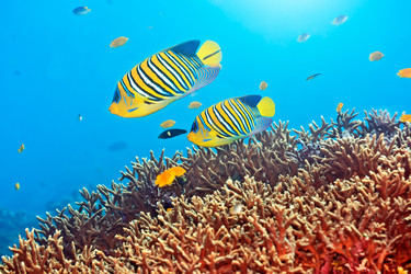 Similar image 721907