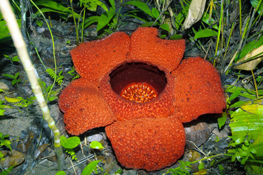 Similar image 721915