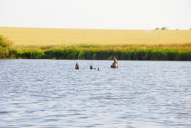 Similar image 721927