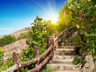 Similar image 721941