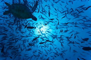 Similar image 721951