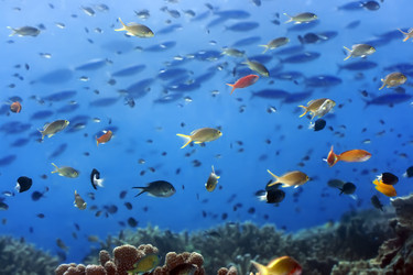 Similar image 721967