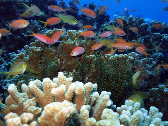 Similar image 721971