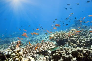 Similar image 721975