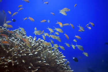 Similar image 721976