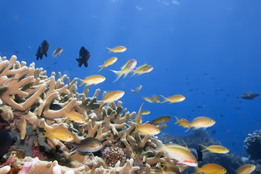 Similar image 721979