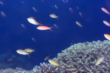 Similar image 721982