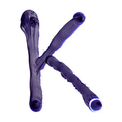 Similar image 721983