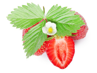 Similar image 722008